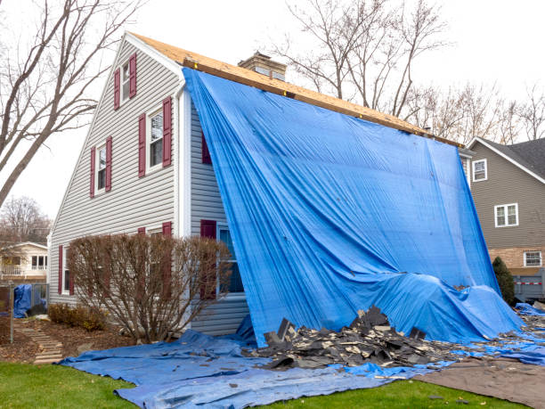 Best Carpet Removal and Disposal  in Mount Vernon, IA